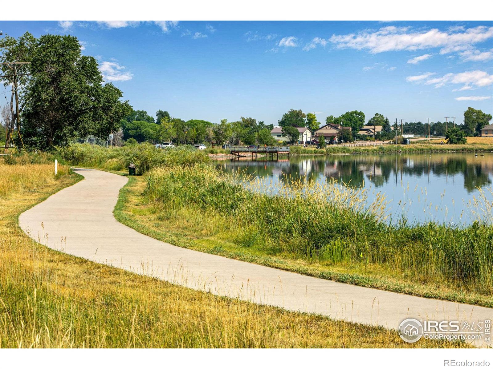 MLS Image #31 for 780  durum street,windsor, Colorado