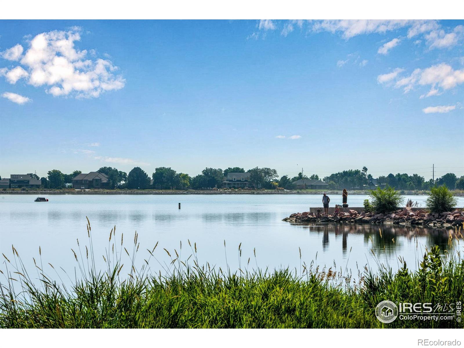 MLS Image #36 for 780  durum street,windsor, Colorado