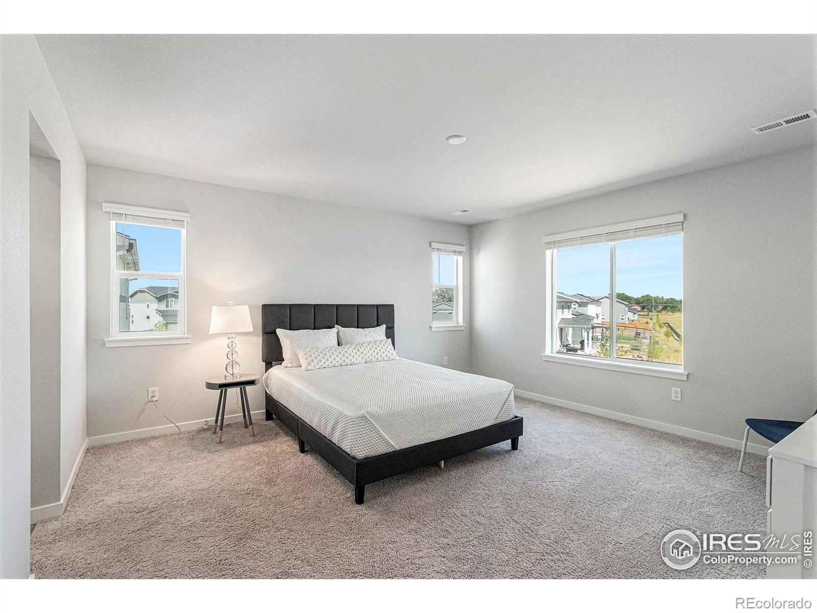 MLS Image #19 for 5766  ranch street,mead, Colorado