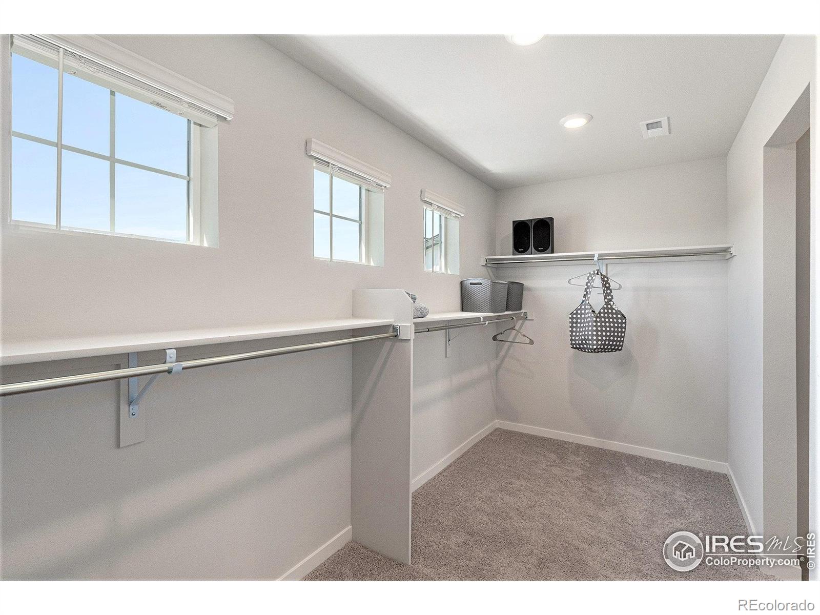 MLS Image #21 for 5766  ranch street,mead, Colorado
