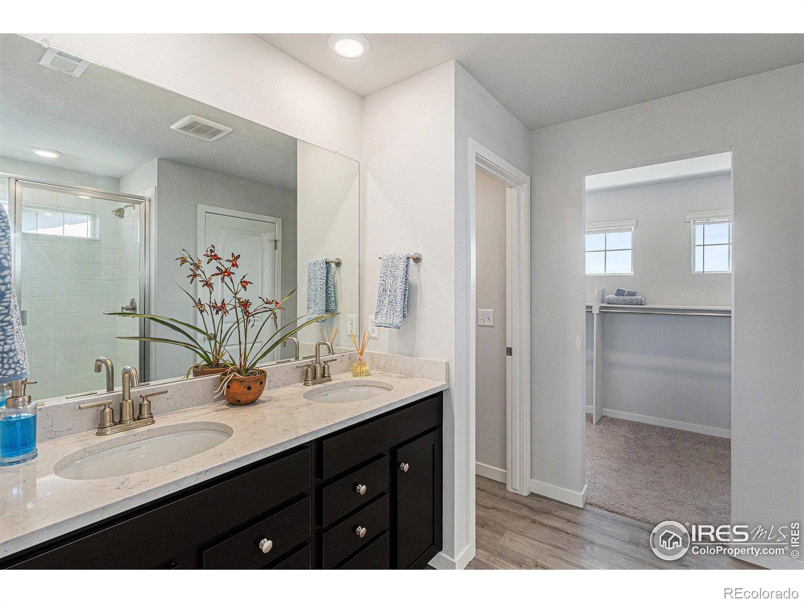 MLS Image #22 for 5766  ranch street,mead, Colorado