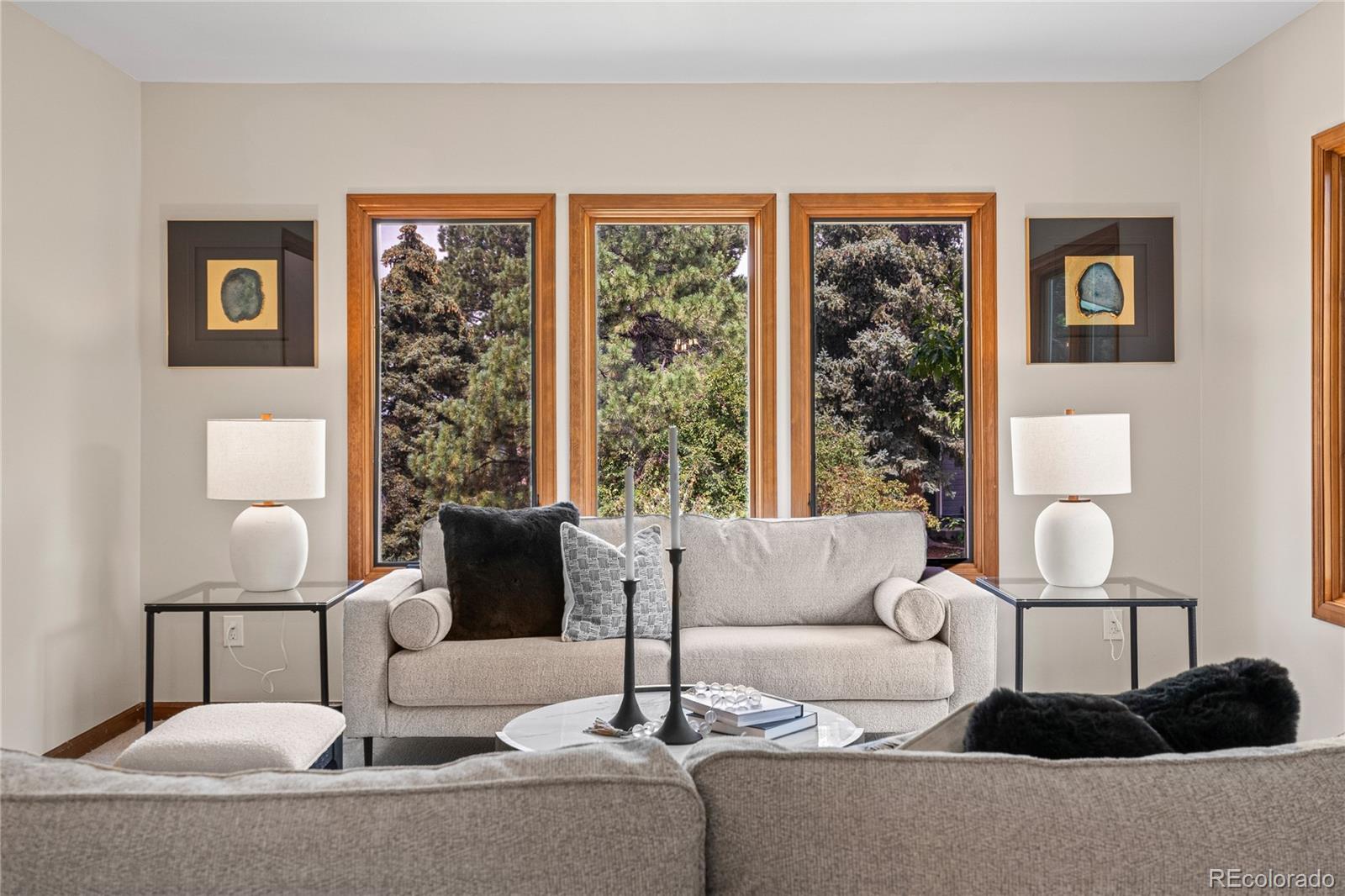 MLS Image #3 for 6018 n villard court,parker, Colorado