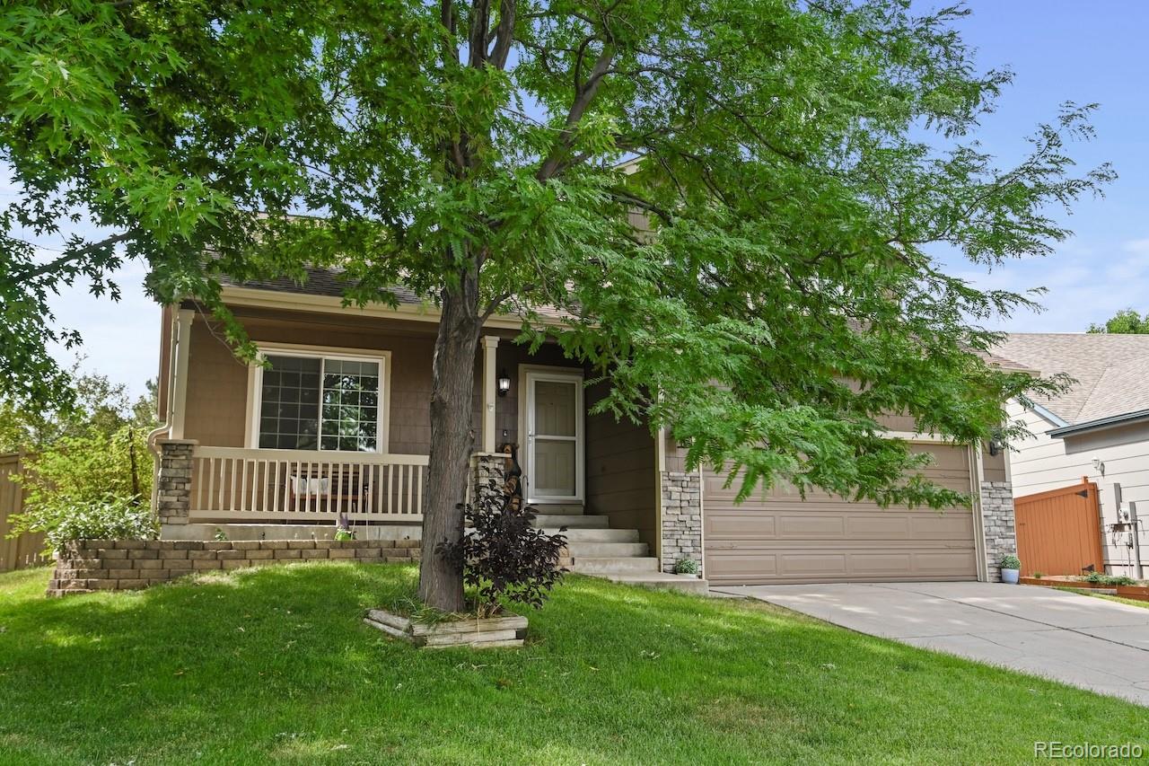 MLS Image #1 for 3381  holly hock court,castle rock, Colorado