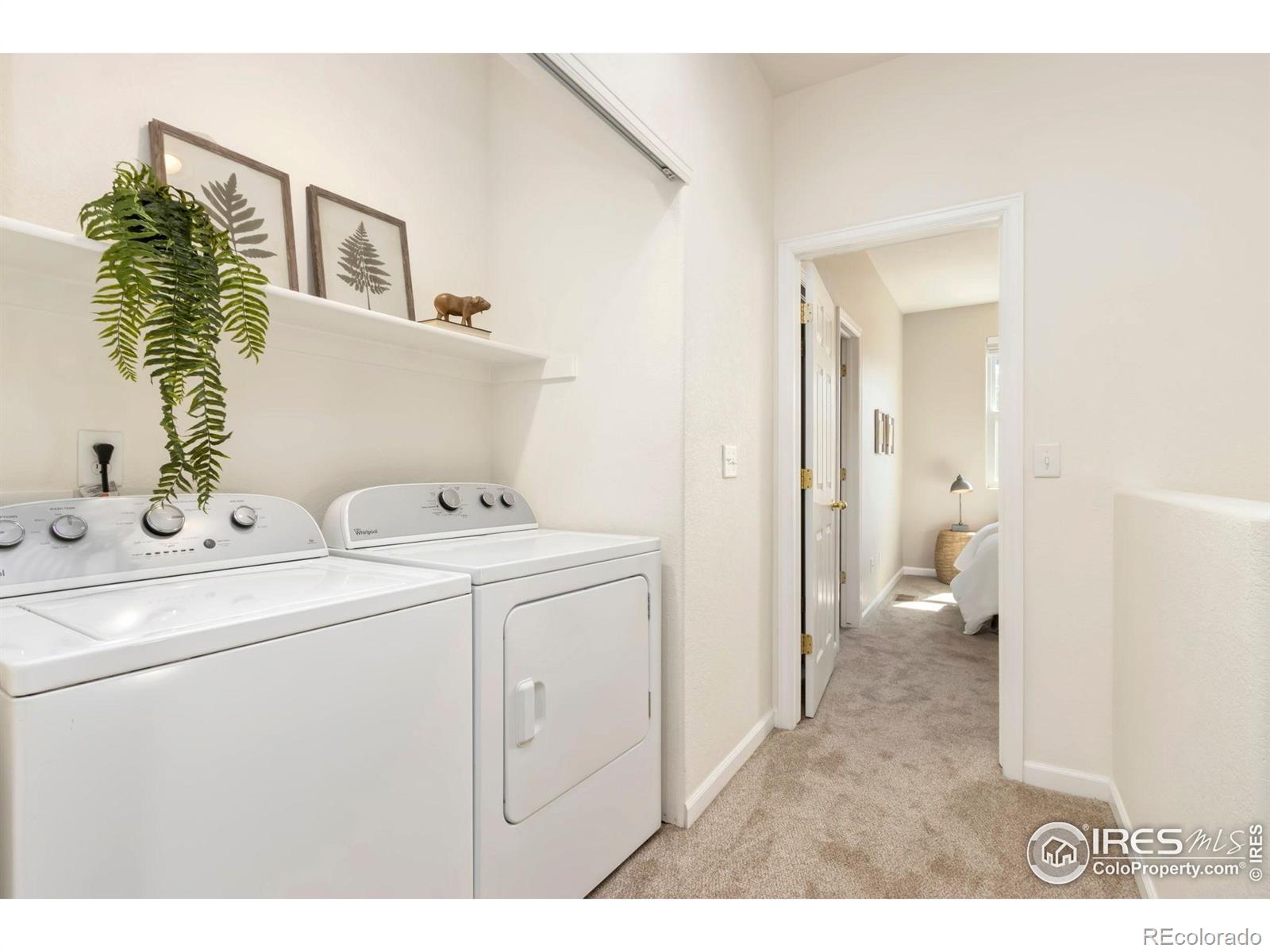 MLS Image #10 for 2862  kansas drive,fort collins, Colorado