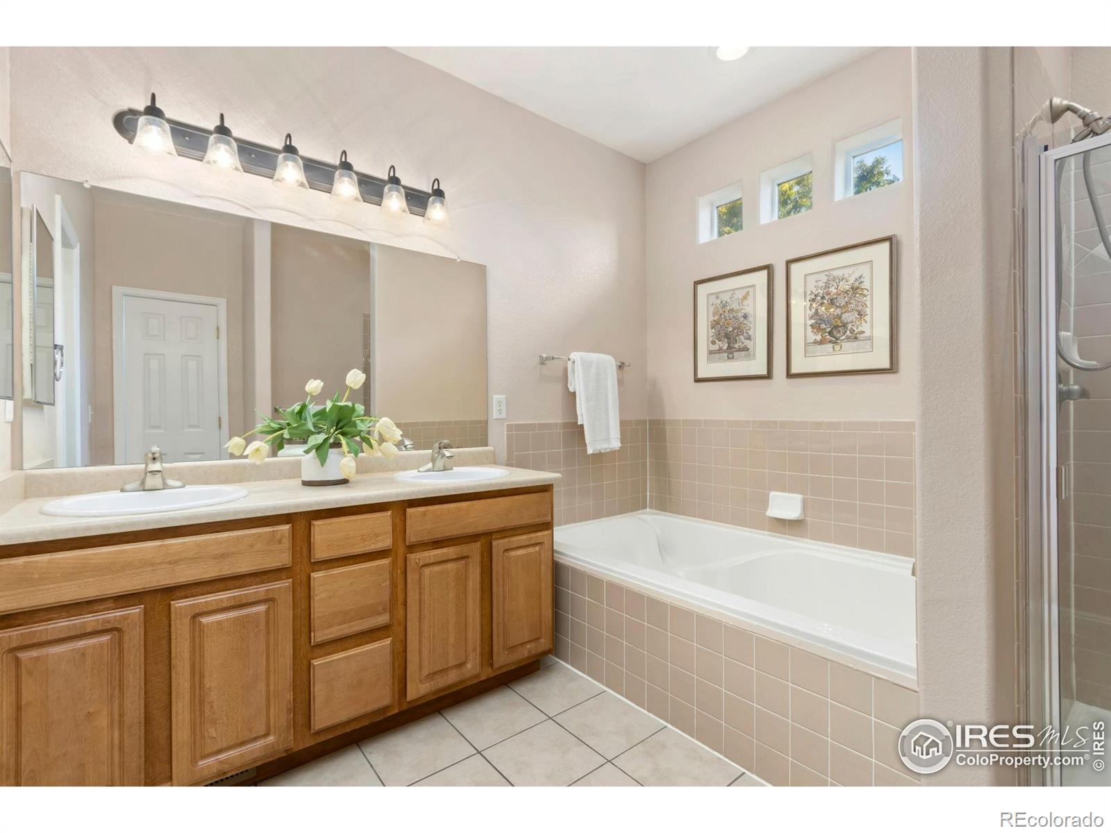 MLS Image #9 for 2862  kansas drive,fort collins, Colorado