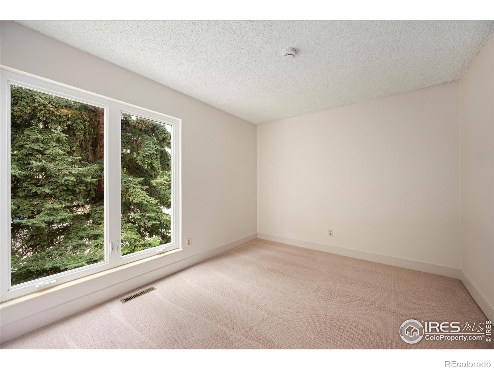 MLS Image #13 for 4336  warbler drive,fort collins, Colorado