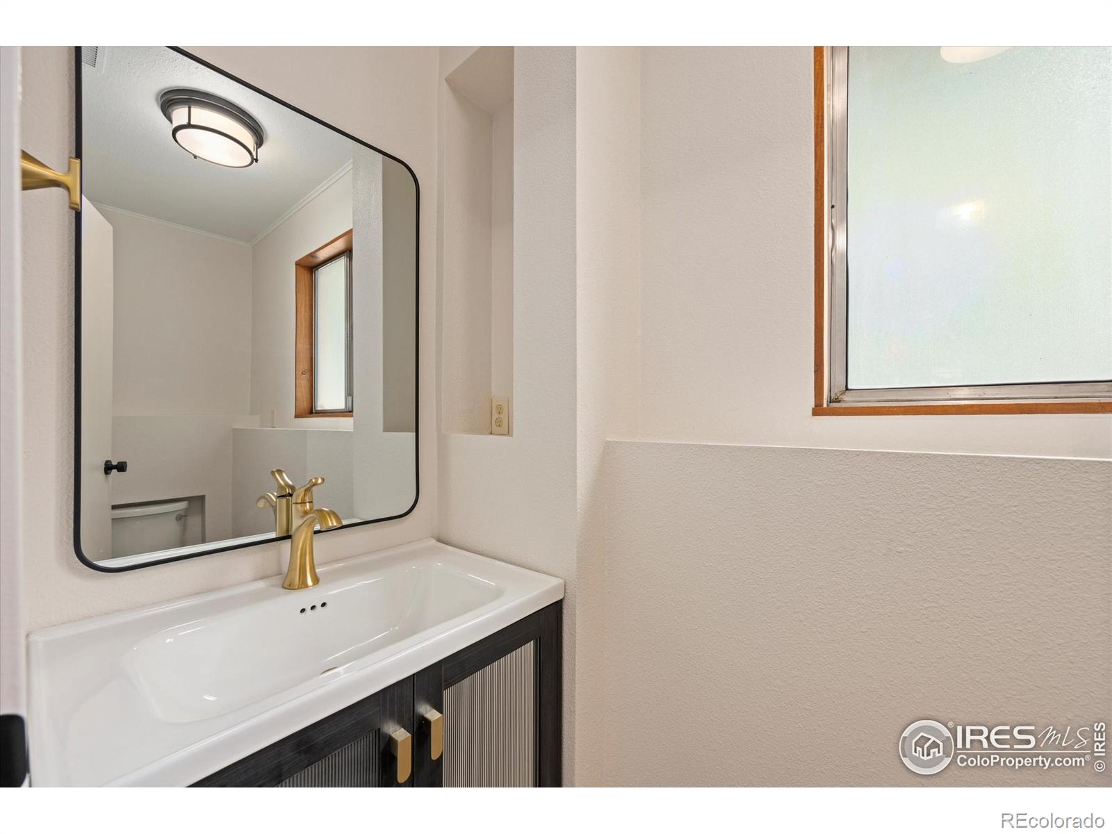 MLS Image #19 for 4336  warbler drive,fort collins, Colorado