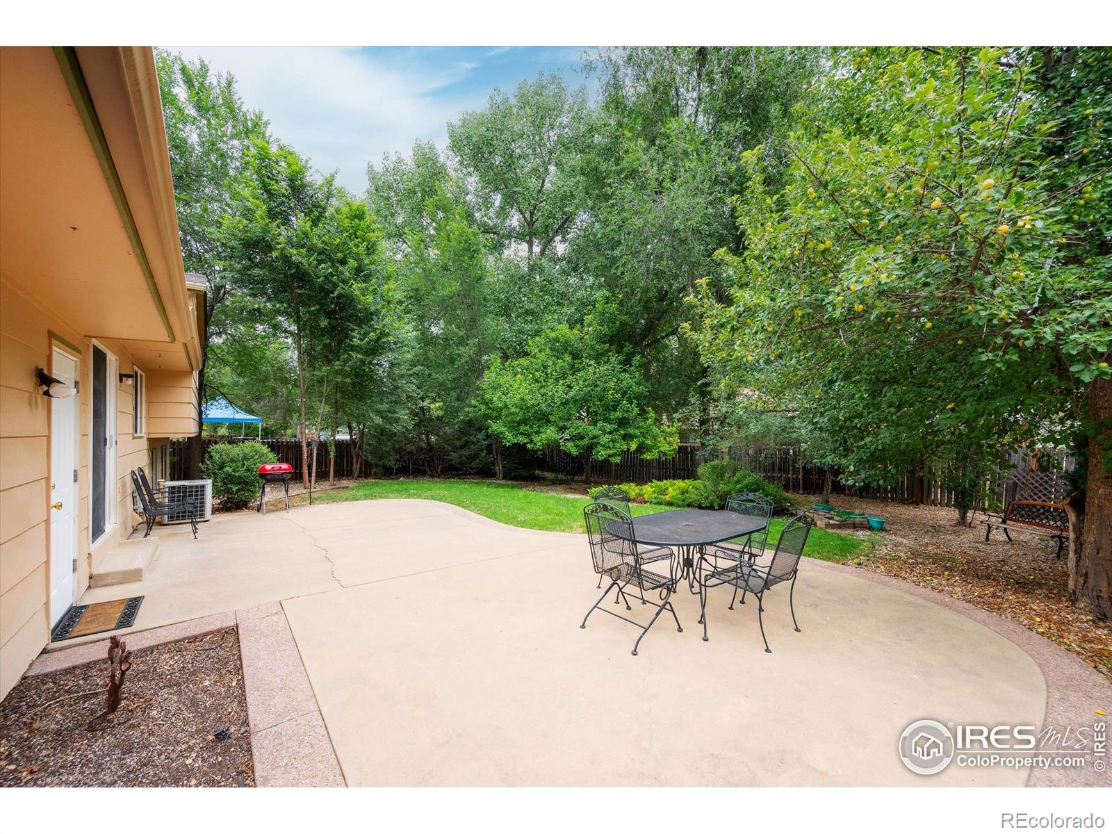 MLS Image #20 for 4336  warbler drive,fort collins, Colorado