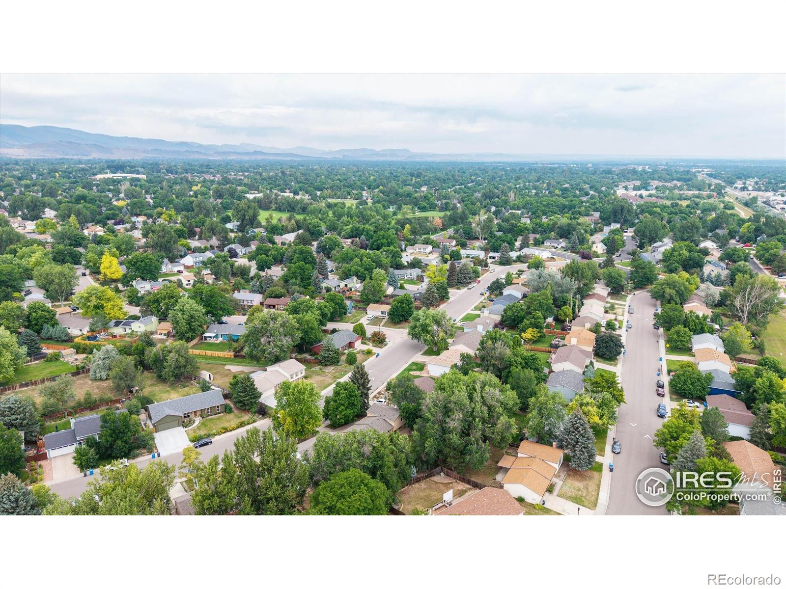 MLS Image #26 for 4336  warbler drive,fort collins, Colorado