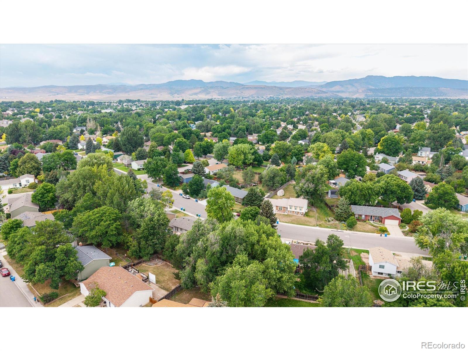 MLS Image #27 for 4336  warbler drive,fort collins, Colorado