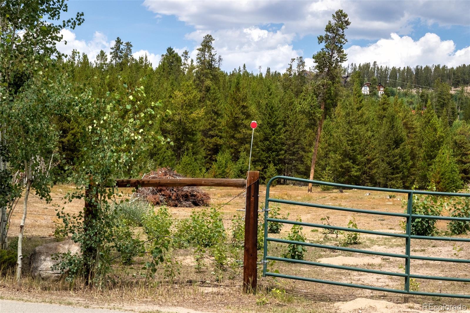 MLS Image #20 for 604  marina drive ,grand lake, Colorado
