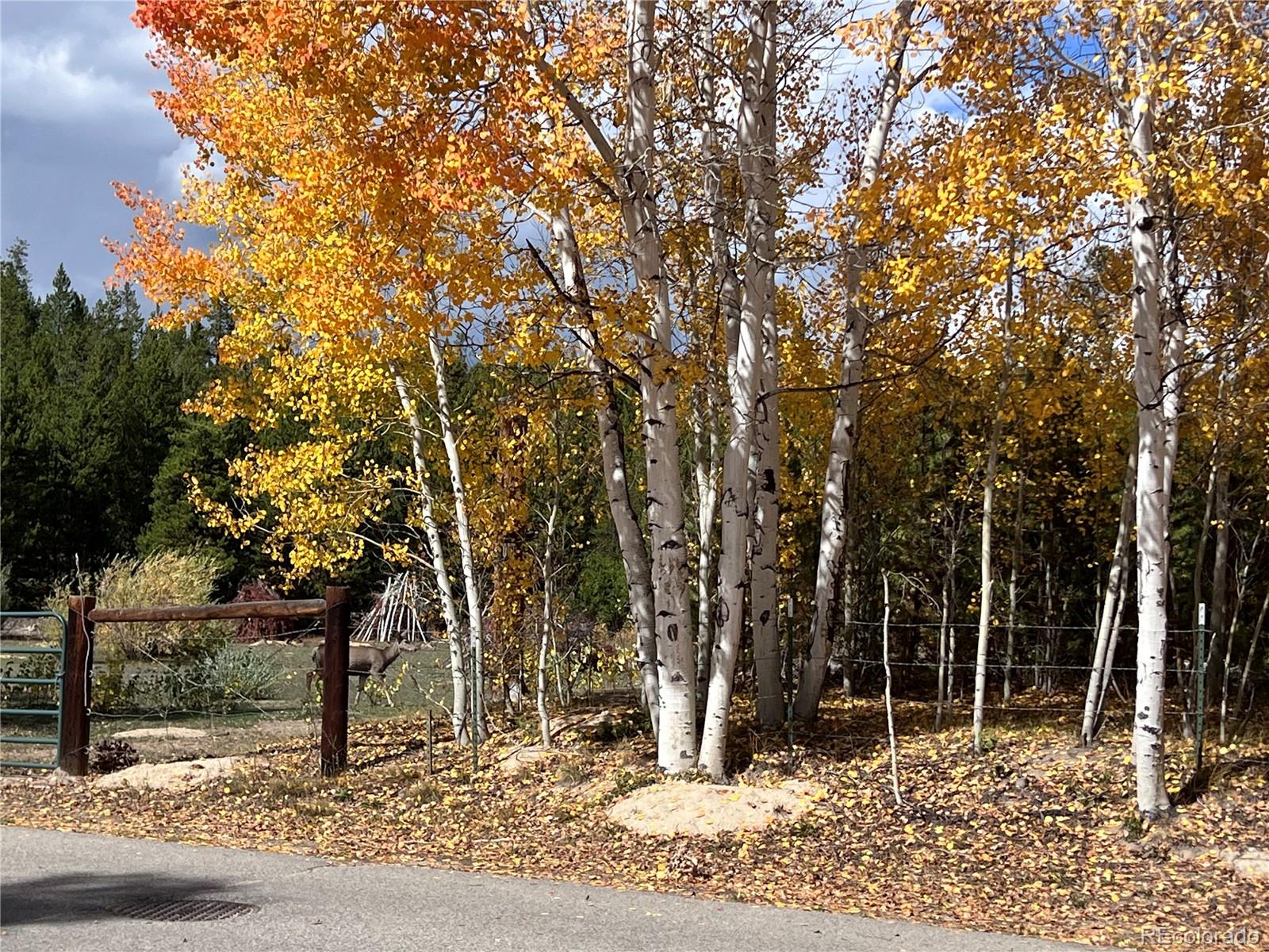 MLS Image #4 for 604  marina drive ,grand lake, Colorado