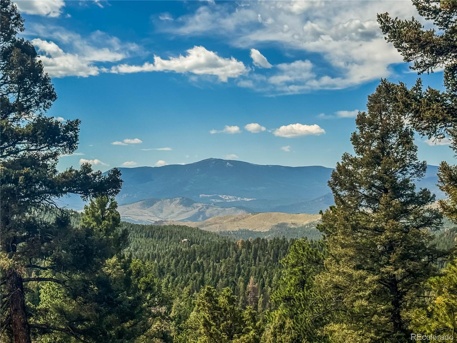 MLS Image #2 for 12853 s wamblee valley road,conifer, Colorado