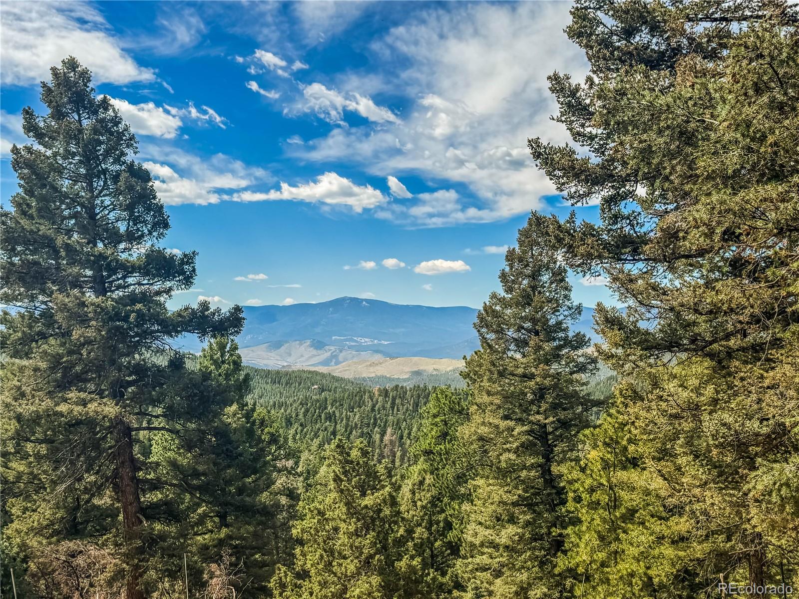 MLS Image #3 for 12853 s wamblee valley road,conifer, Colorado