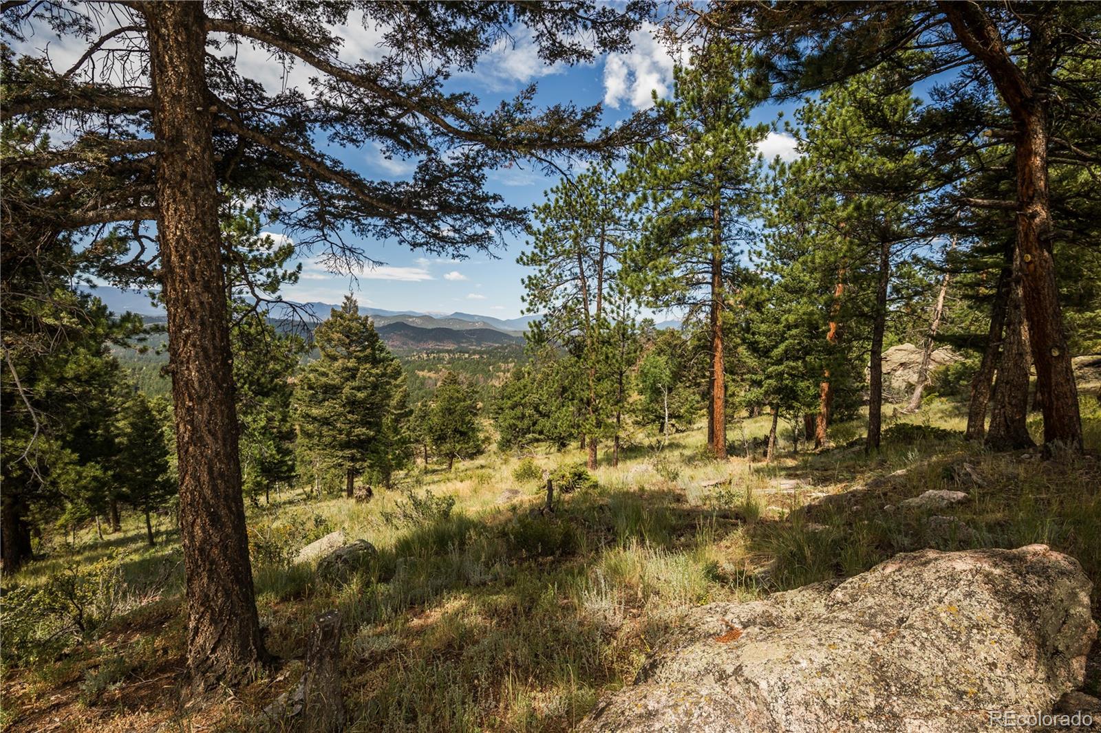 MLS Image #34 for 12853 s wamblee valley road,conifer, Colorado