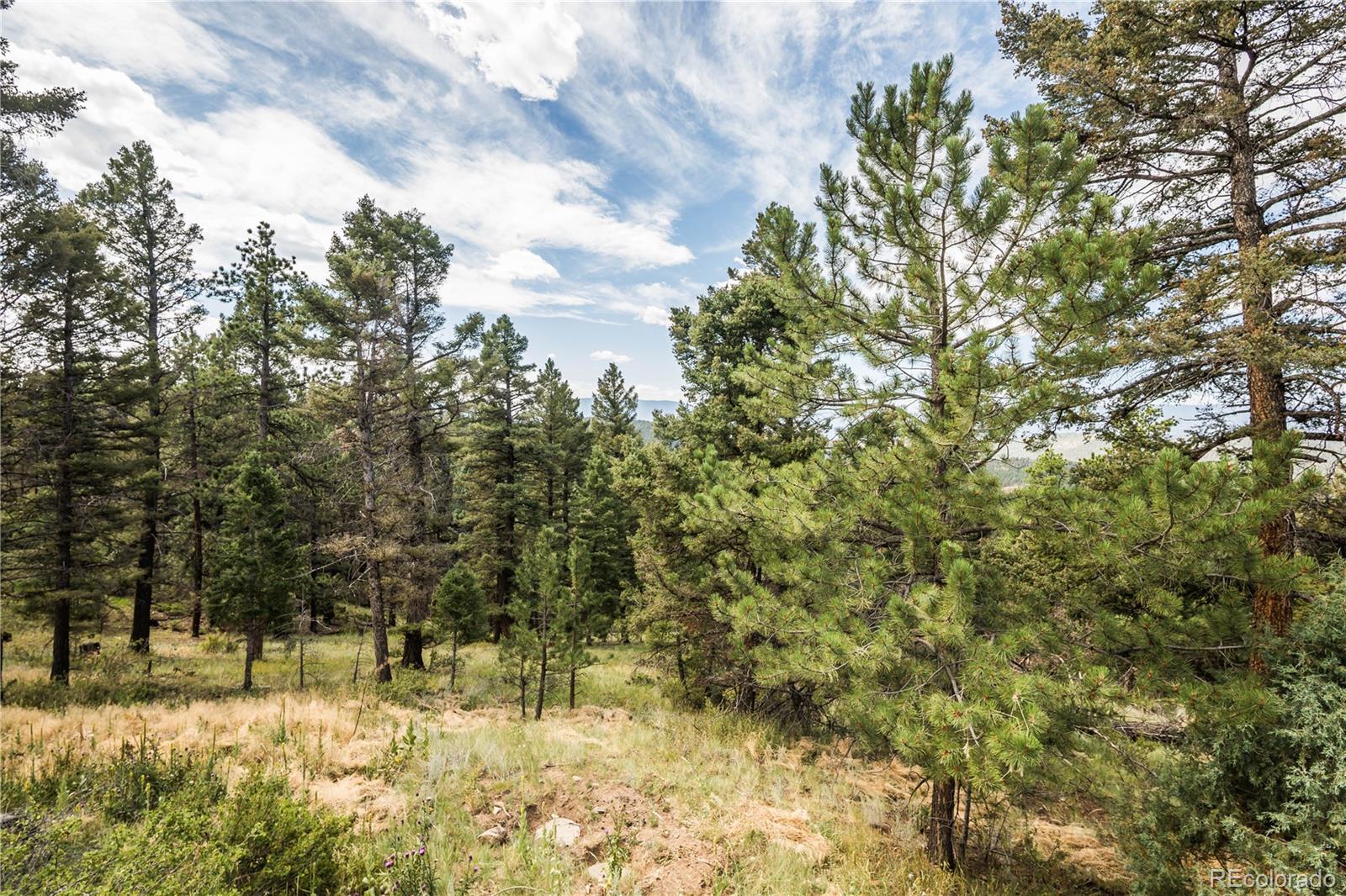 MLS Image #40 for 12853 s wamblee valley road,conifer, Colorado