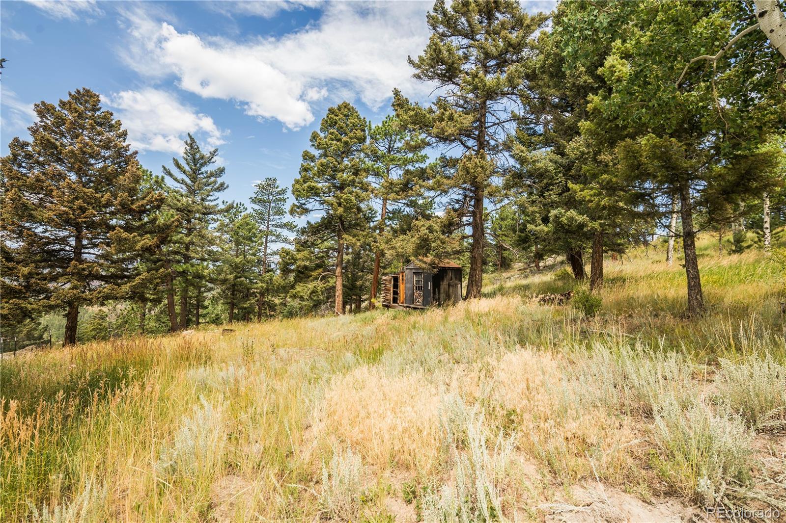 MLS Image #41 for 12853 s wamblee valley road,conifer, Colorado