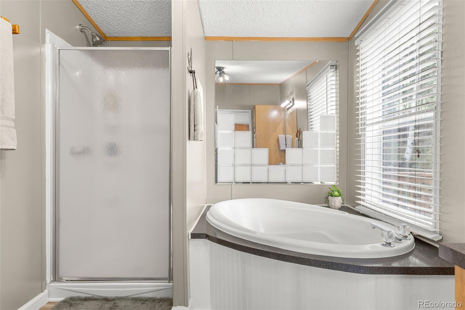 MLS Image #24 for 406  breech trail,como, Colorado