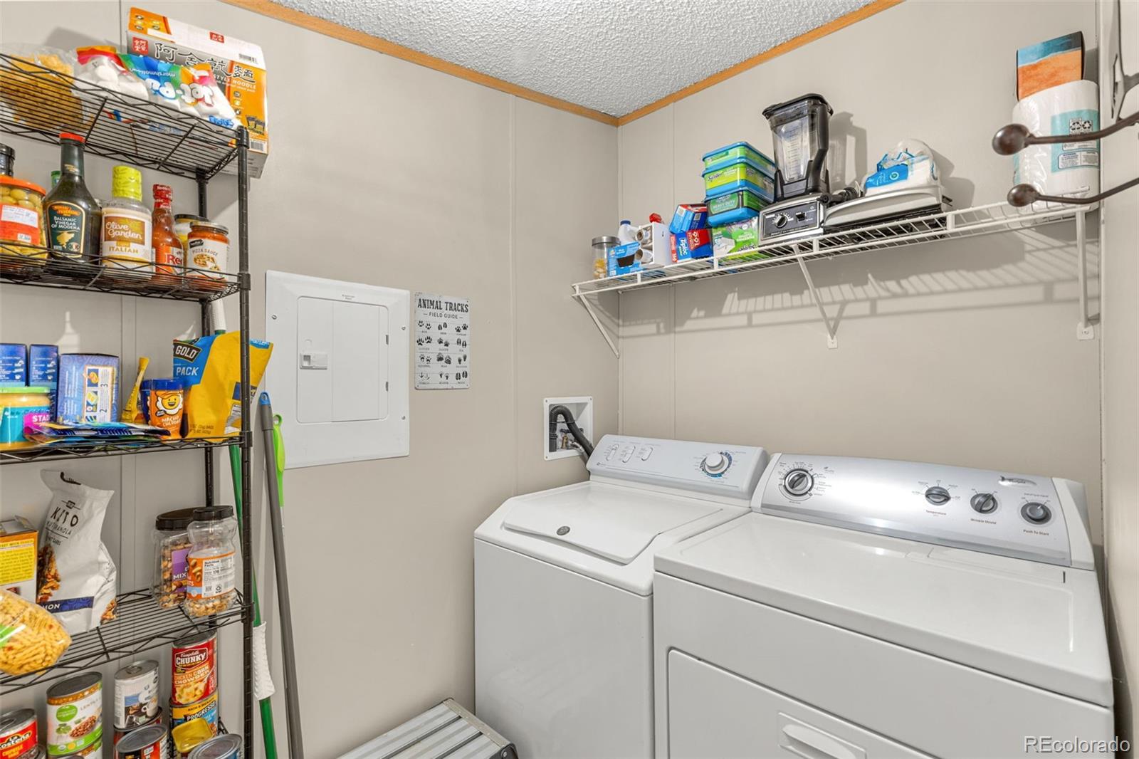 MLS Image #33 for 406  breech trail,como, Colorado