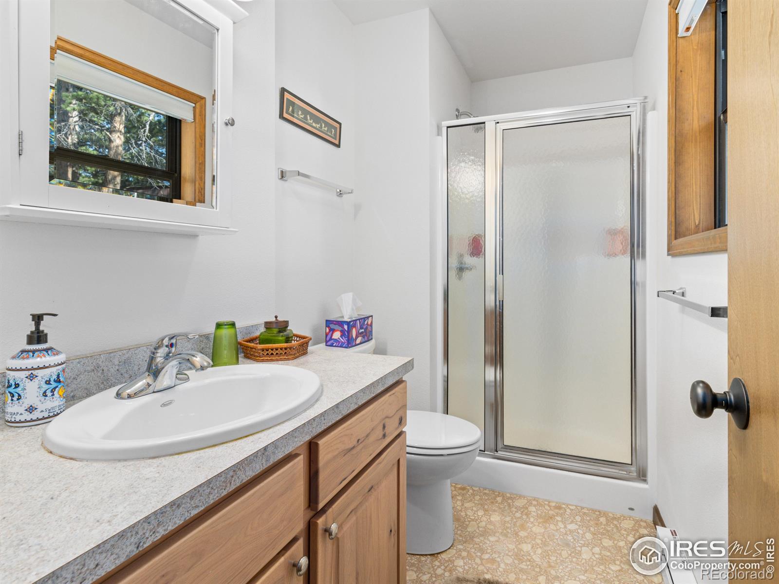 MLS Image #12 for 725  upper larkspur lane,estes park, Colorado