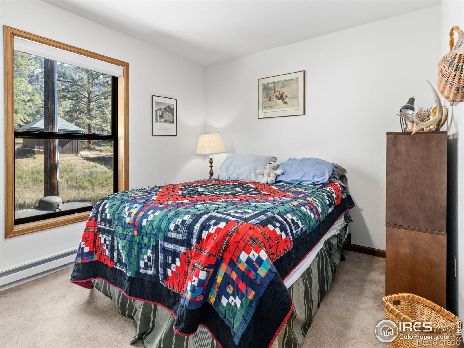 MLS Image #14 for 725  upper larkspur lane,estes park, Colorado