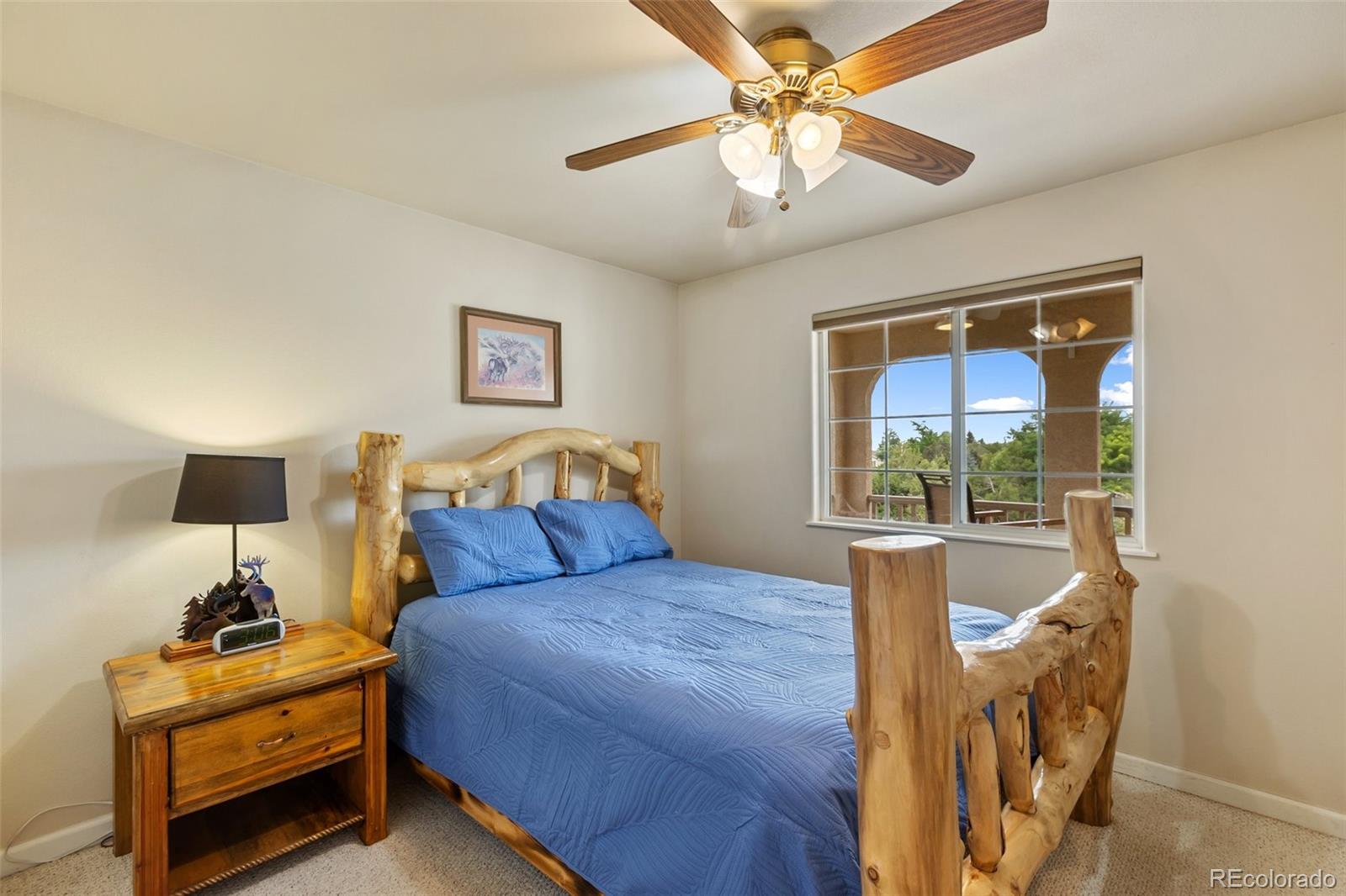 MLS Image #32 for 265  pelage court,canon city, Colorado