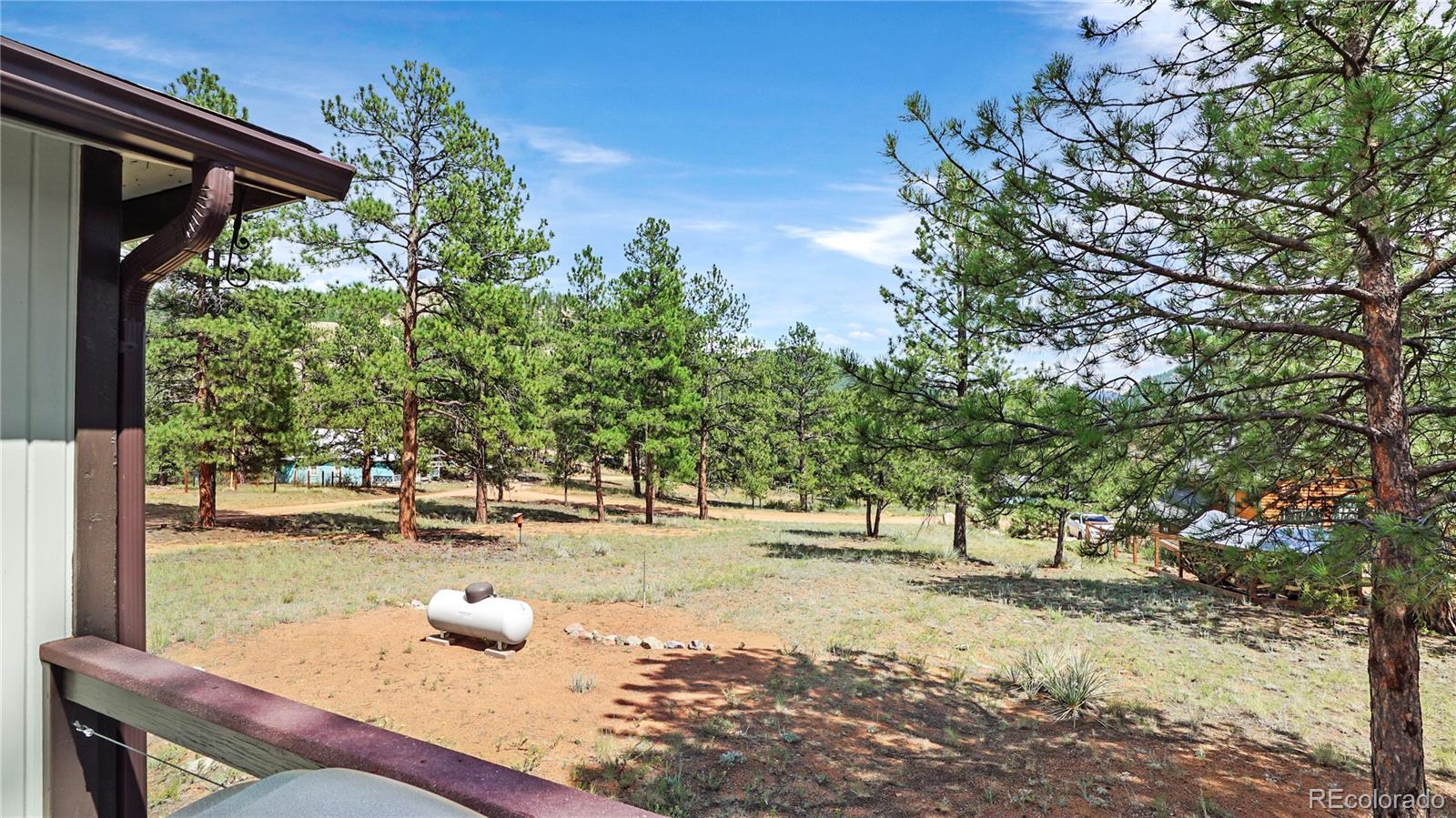 MLS Image #20 for 28488  park avenue,pine, Colorado