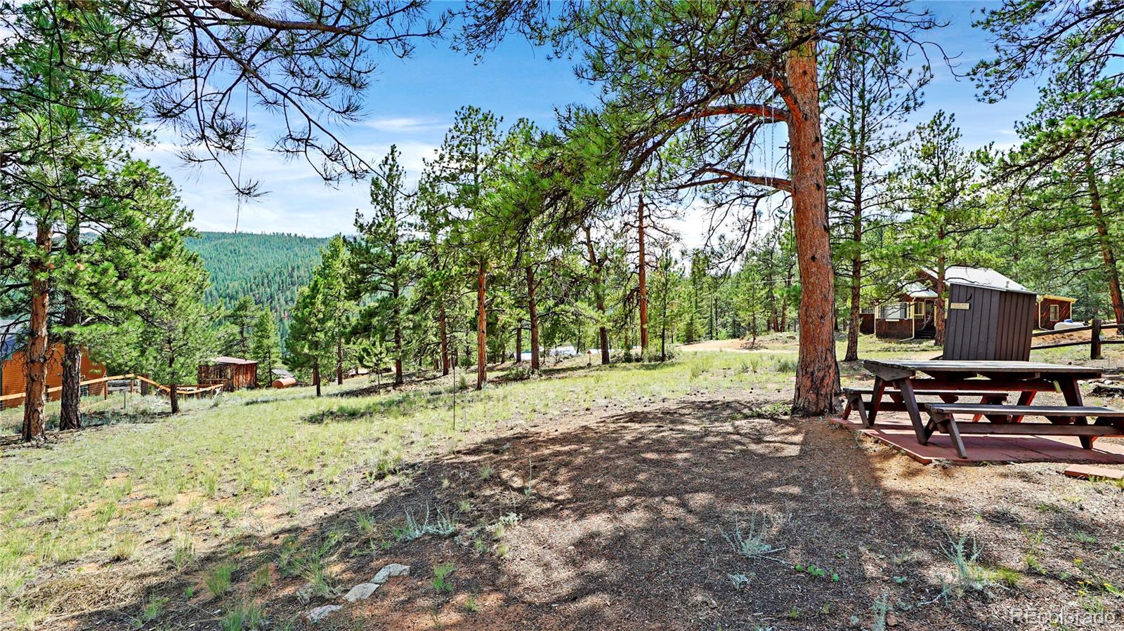 MLS Image #22 for 28488  park avenue,pine, Colorado