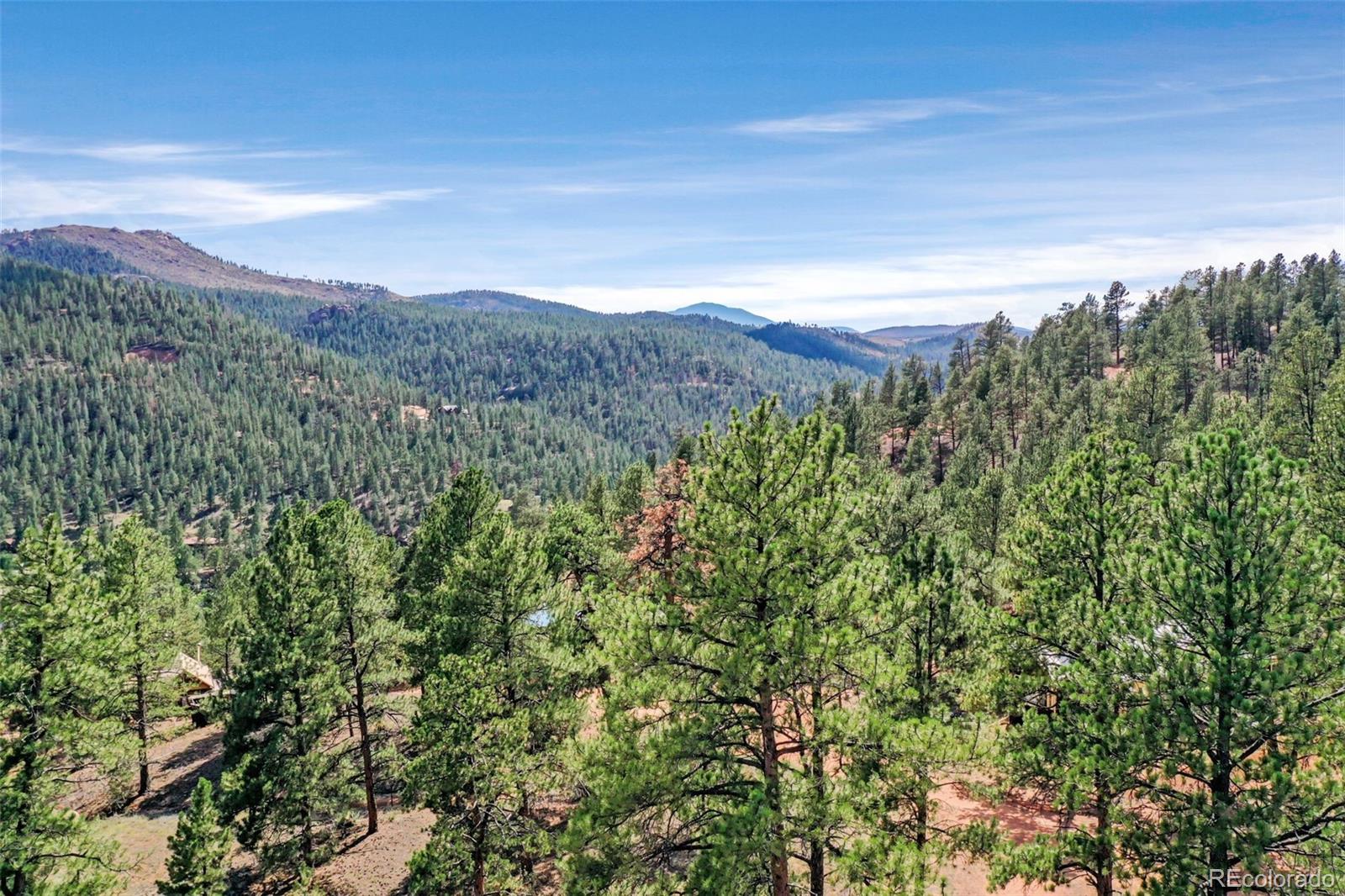 MLS Image #4 for 28488  park avenue,pine, Colorado