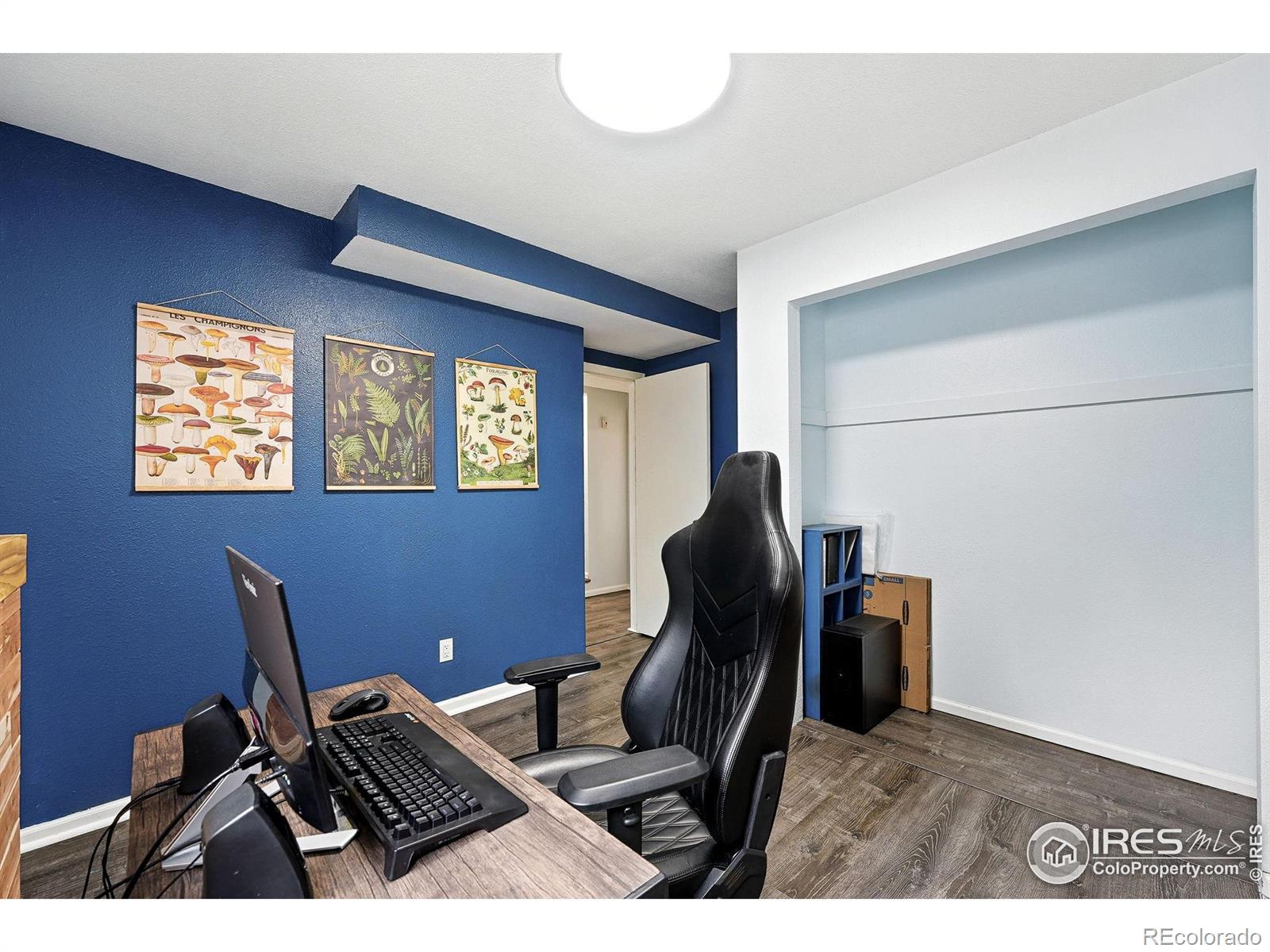 MLS Image #22 for 4150  ebony court,loveland, Colorado