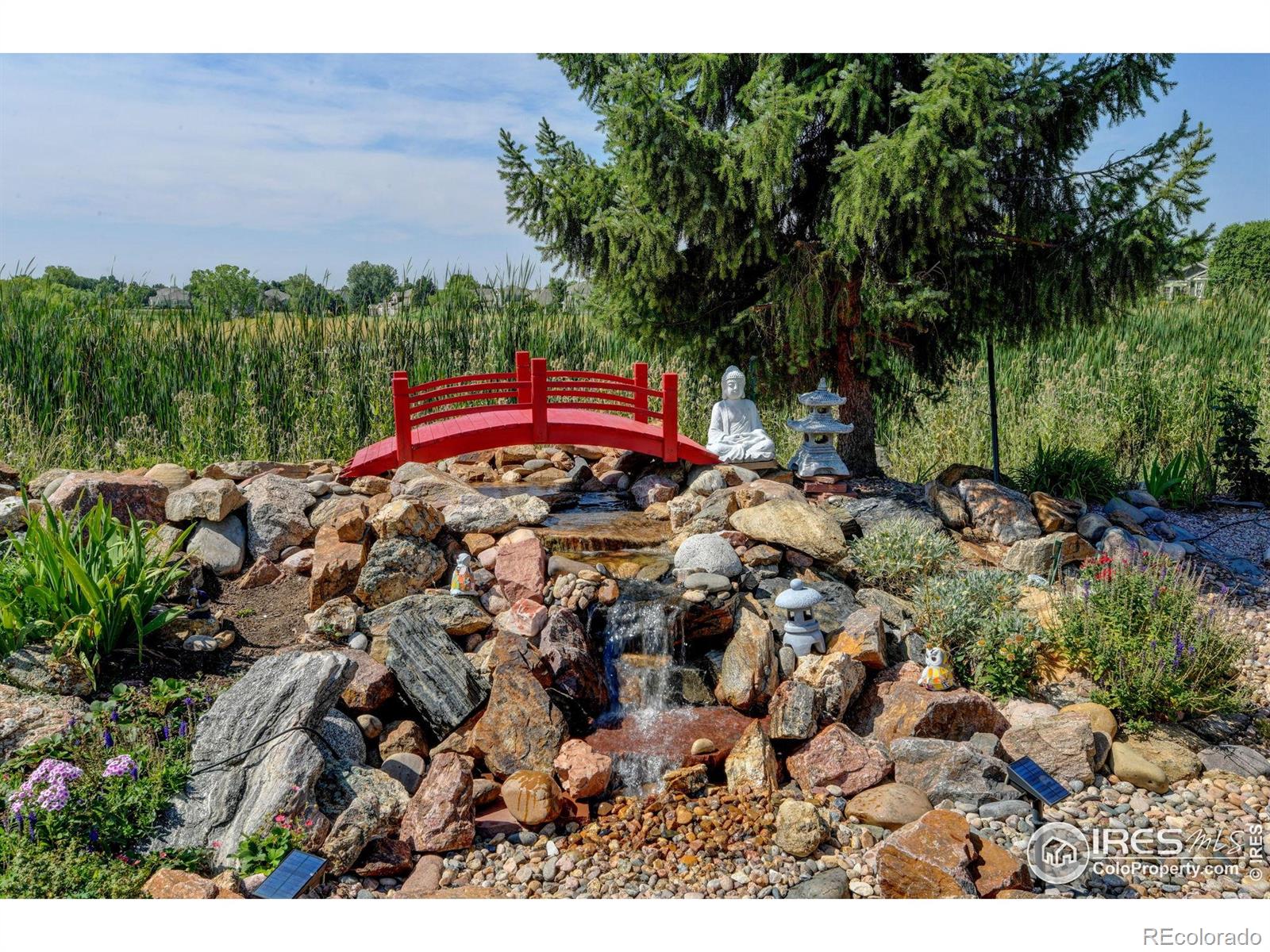 MLS Image #9 for 13973  pinehurst circle,broomfield, Colorado