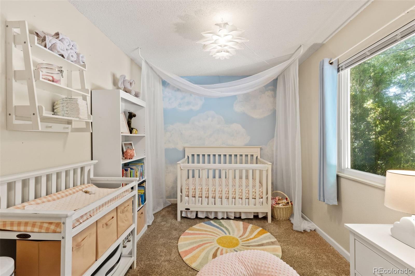 MLS Image #19 for 6610  white water lane,colorado springs, Colorado