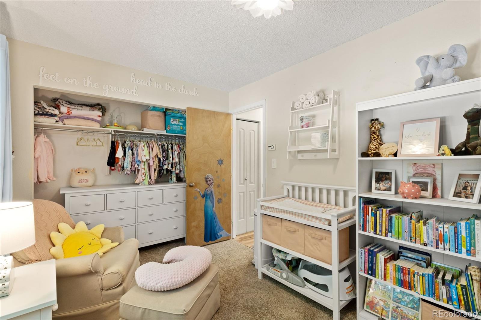 MLS Image #20 for 6610  white water lane,colorado springs, Colorado