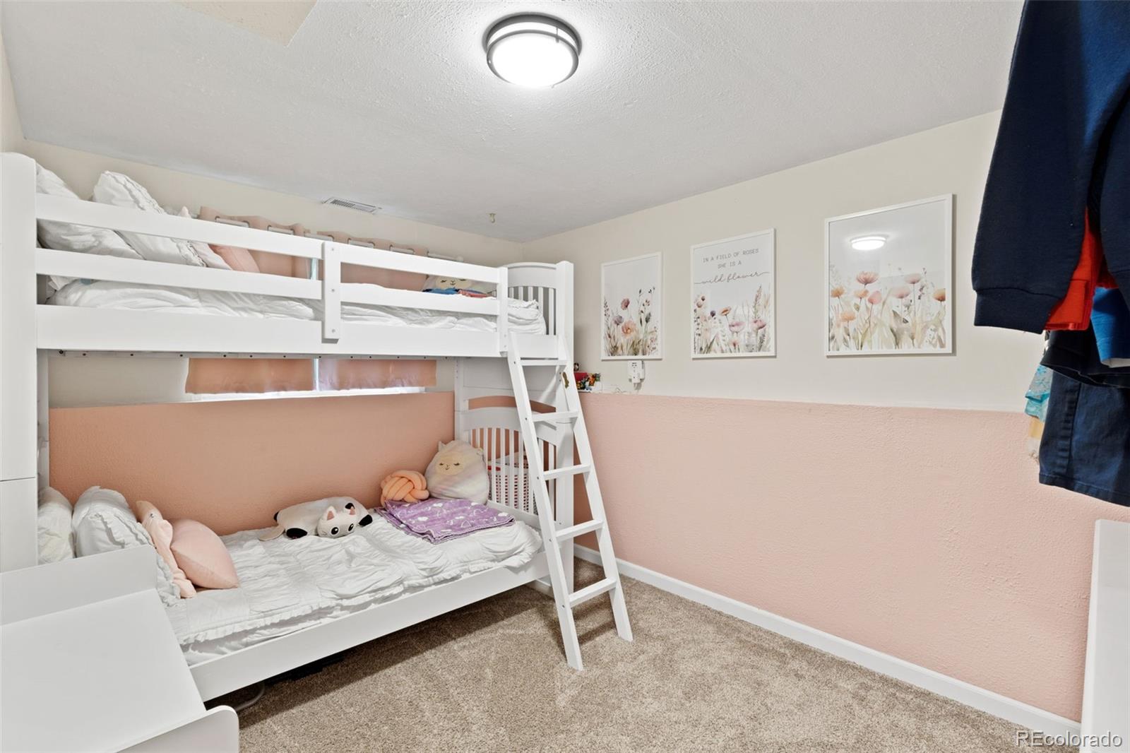 MLS Image #29 for 6610  white water lane,colorado springs, Colorado