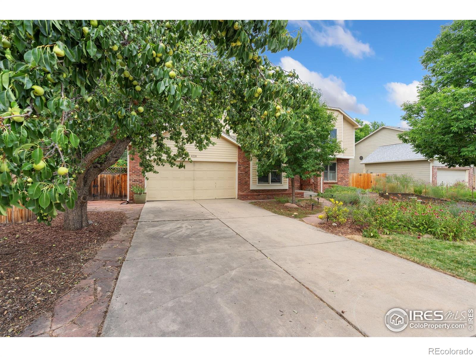 MLS Image #46 for 4218  cape cod circle,fort collins, Colorado