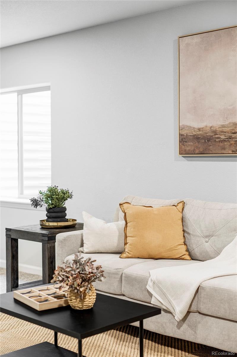 MLS Image #20 for 4456  hessite loop,colorado springs, Colorado