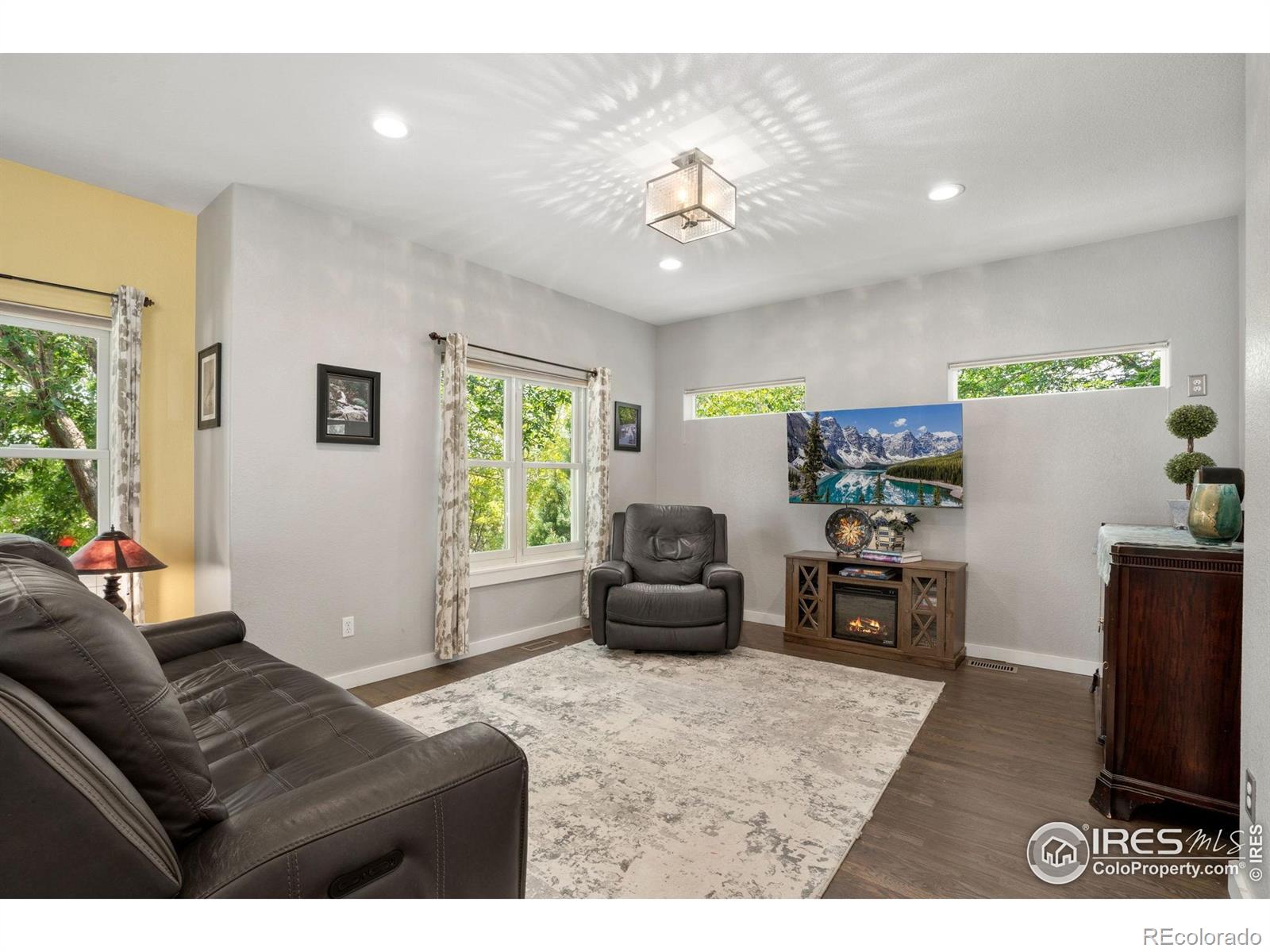 MLS Image #10 for 1303  park ridge drive,severance, Colorado