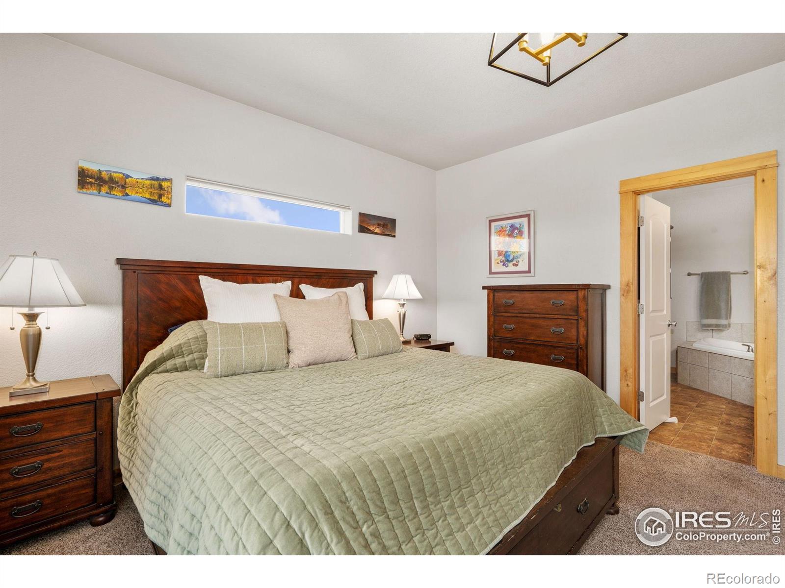 MLS Image #14 for 1303  park ridge drive,severance, Colorado