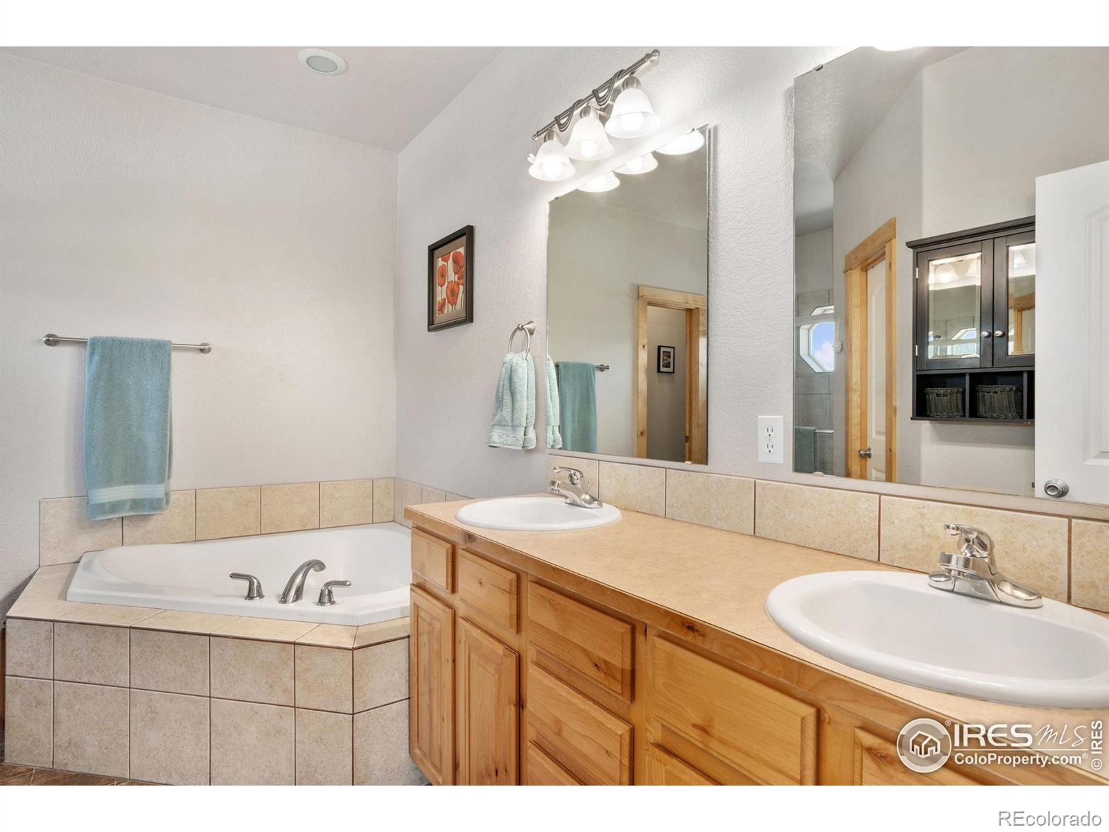 MLS Image #16 for 1303  park ridge drive,severance, Colorado