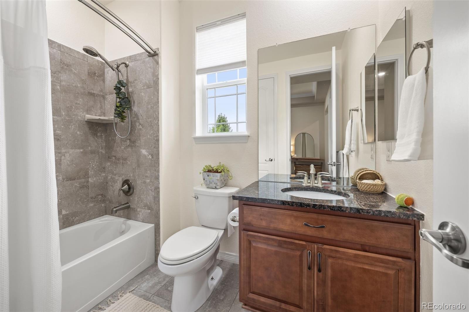 MLS Image #17 for 16395  azalea avenue,parker, Colorado