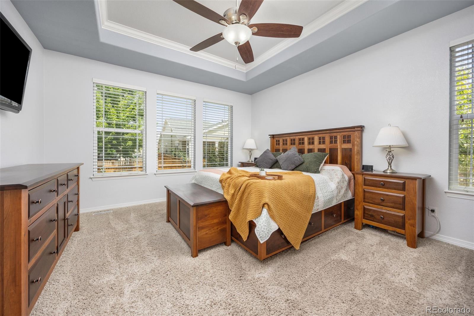 MLS Image #21 for 16395  azalea avenue,parker, Colorado