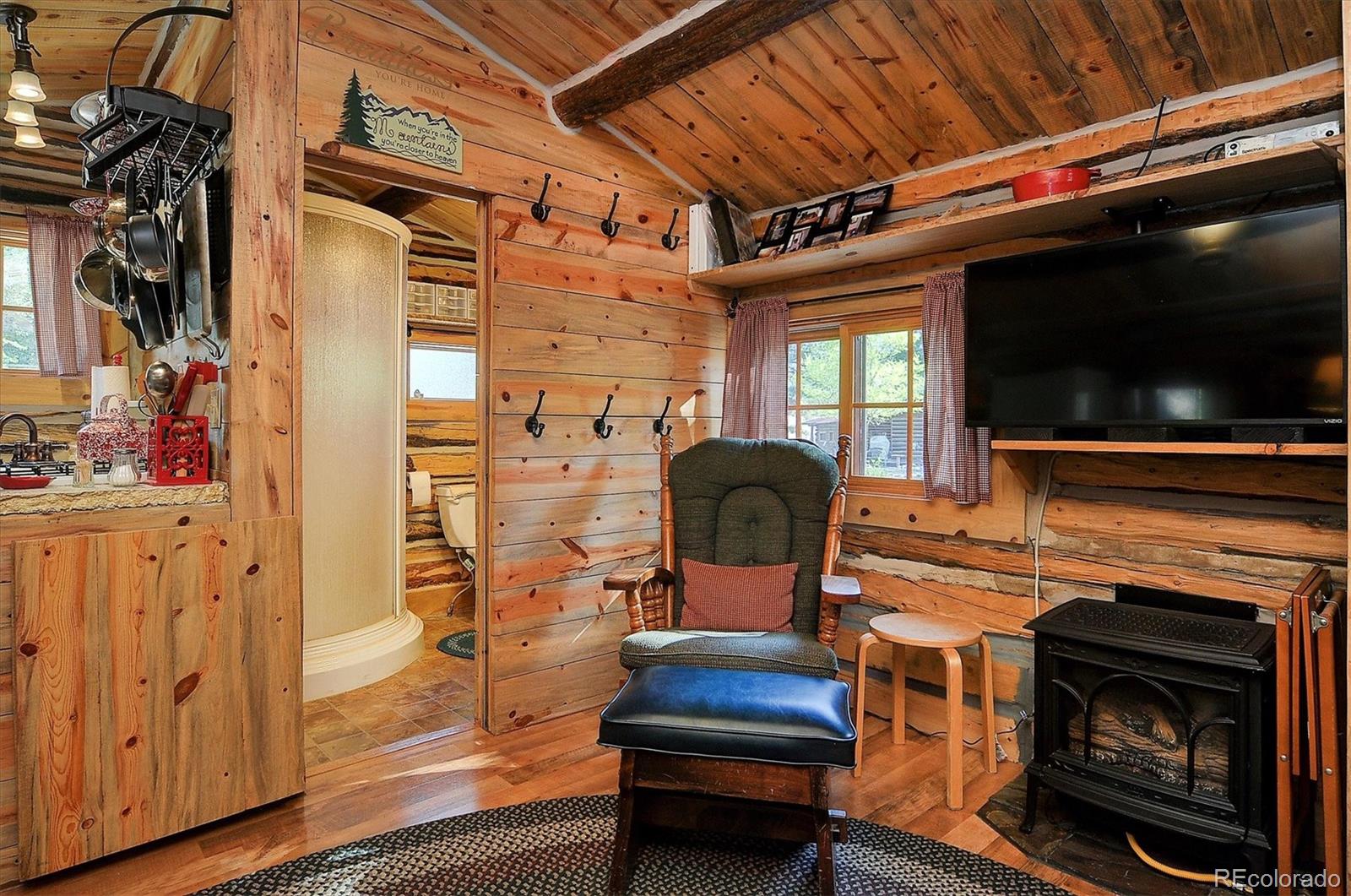 MLS Image #11 for 226 s san juan avenue,buena vista, Colorado