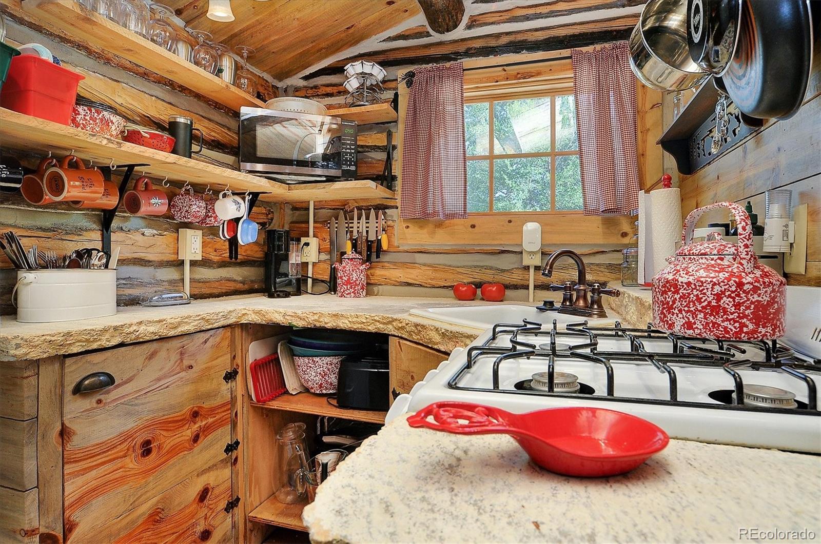 MLS Image #12 for 226 s san juan avenue,buena vista, Colorado