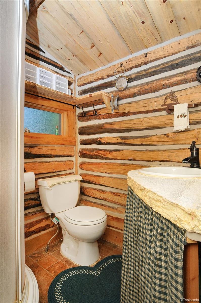MLS Image #14 for 226 s san juan avenue,buena vista, Colorado