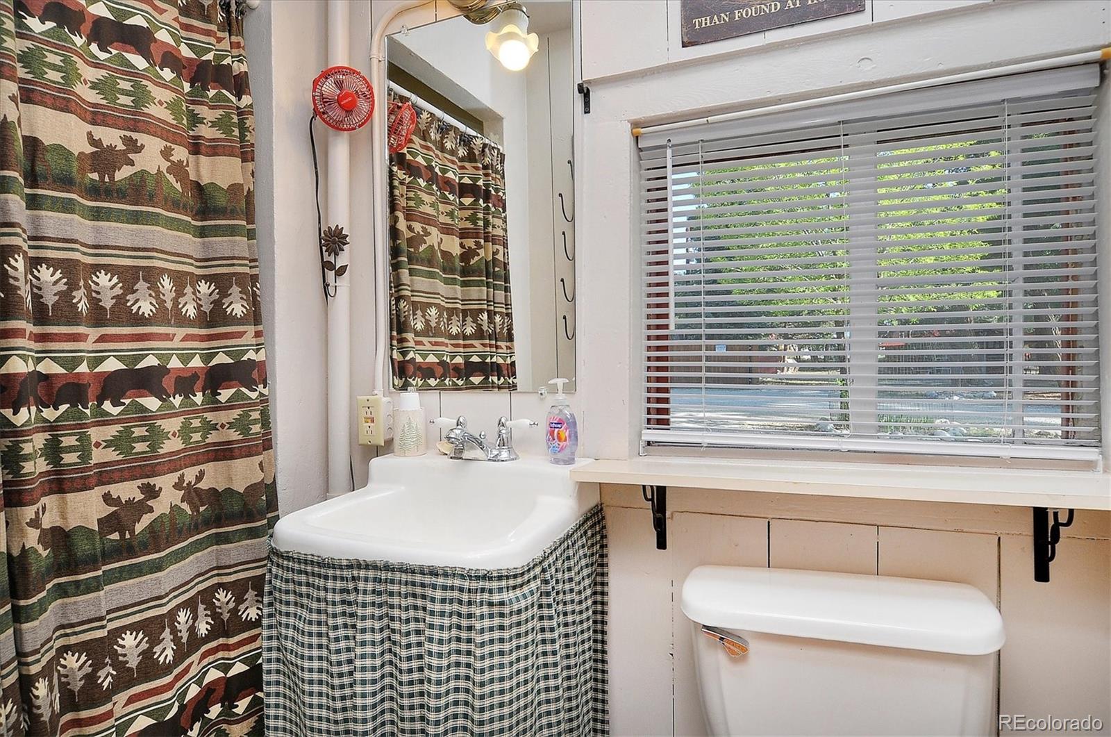 MLS Image #26 for 226 s san juan avenue,buena vista, Colorado