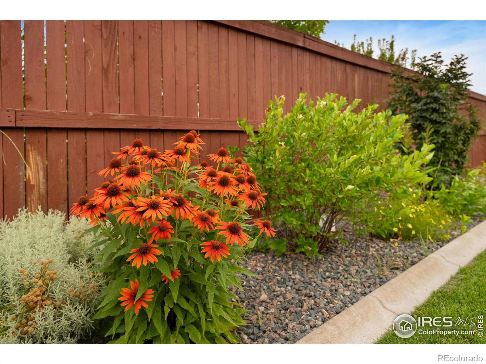 MLS Image #34 for 2057  covered bridge parkway,windsor, Colorado