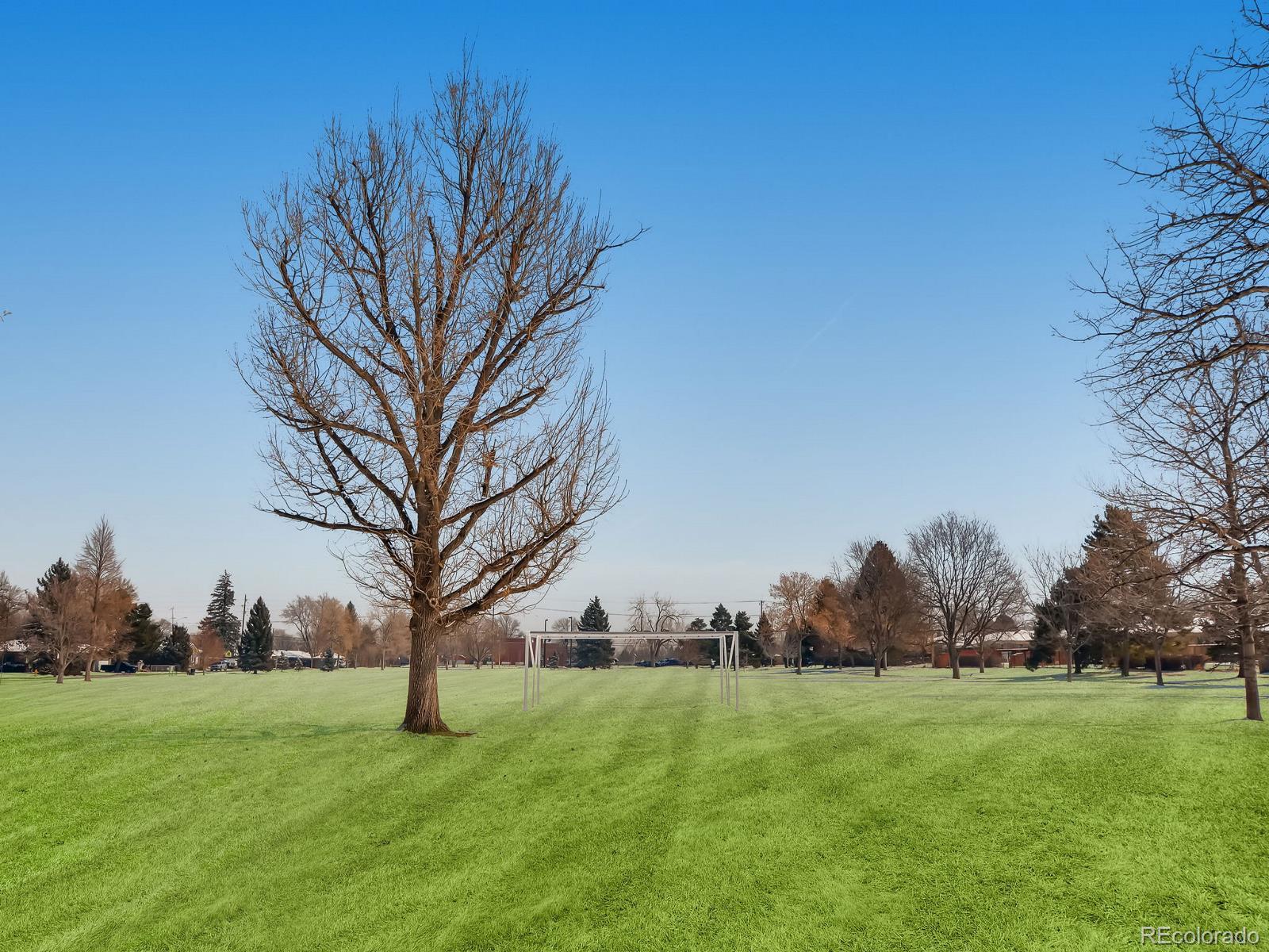 MLS Image #31 for 3040 s elm street,denver, Colorado