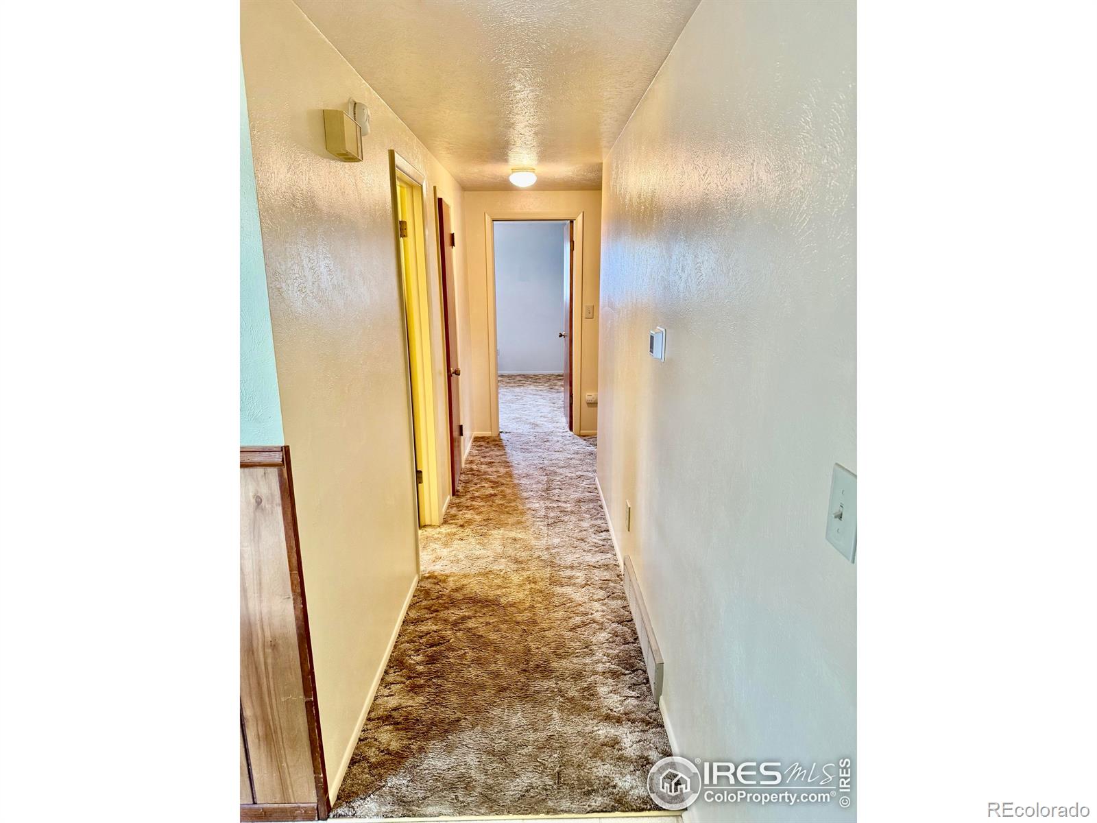 MLS Image #13 for 12884  anhawa avenue,longmont, Colorado