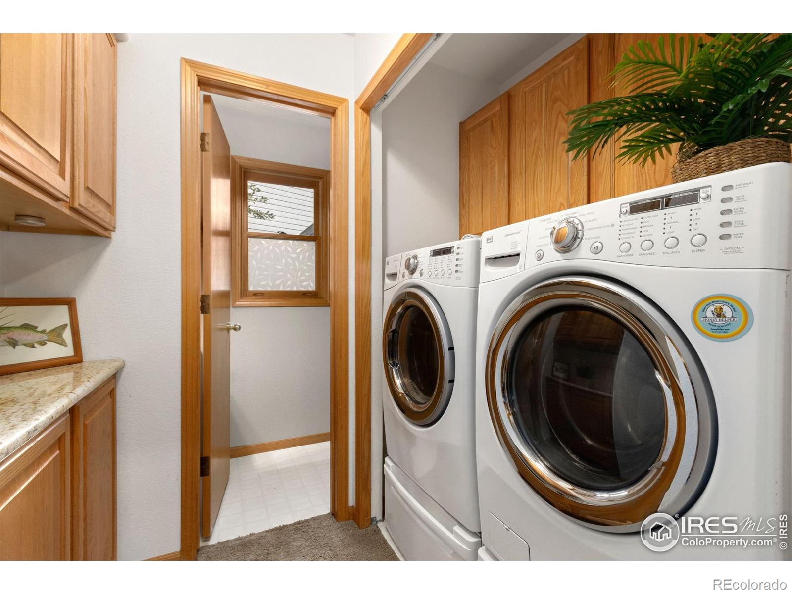 MLS Image #17 for 2225  pole pine lane,fort collins, Colorado