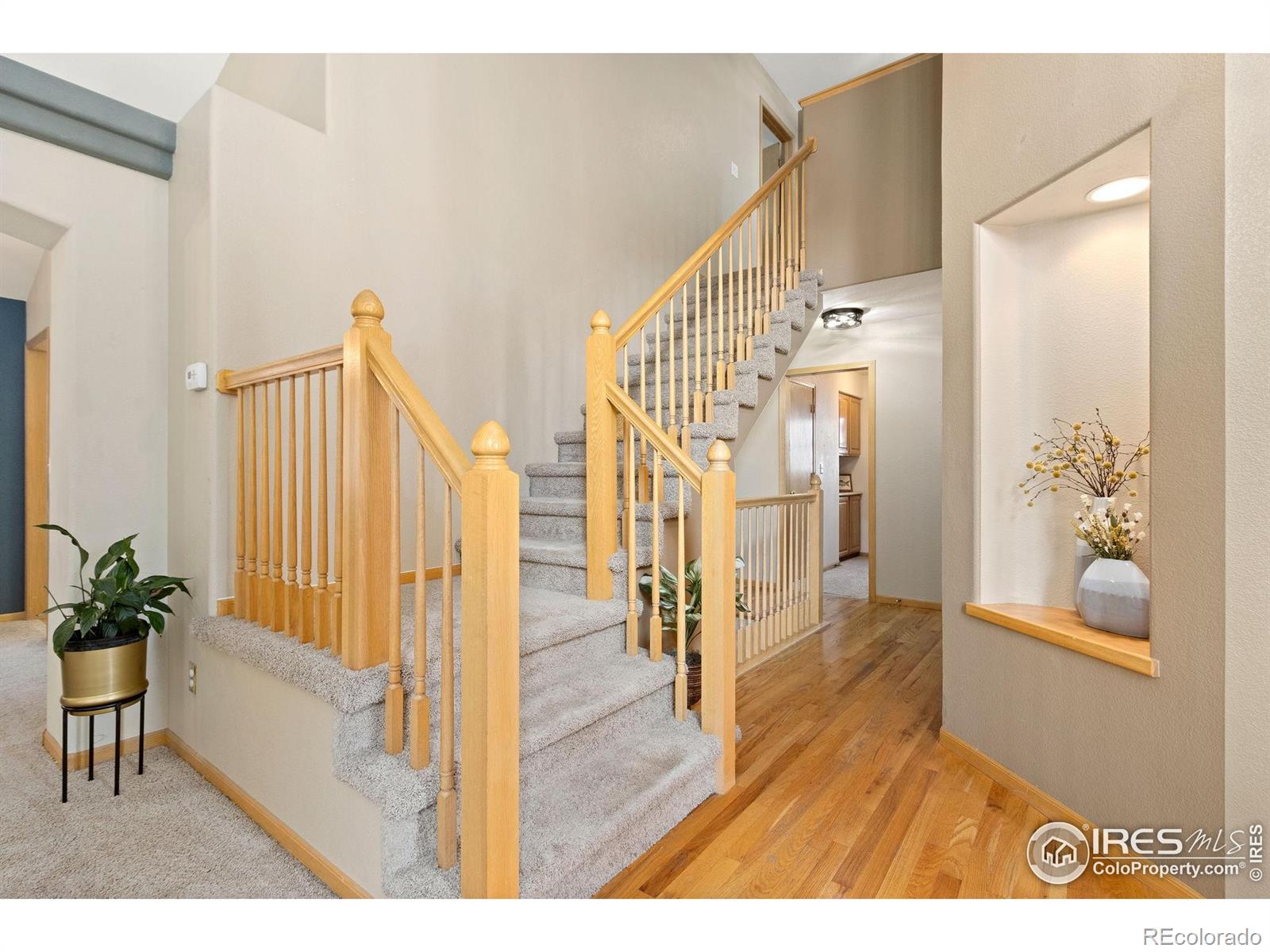 MLS Image #3 for 2225  pole pine lane,fort collins, Colorado